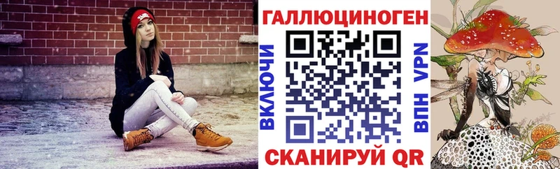 Купить  Кукмор  Псилоцибиновые грибы Cubensis 
