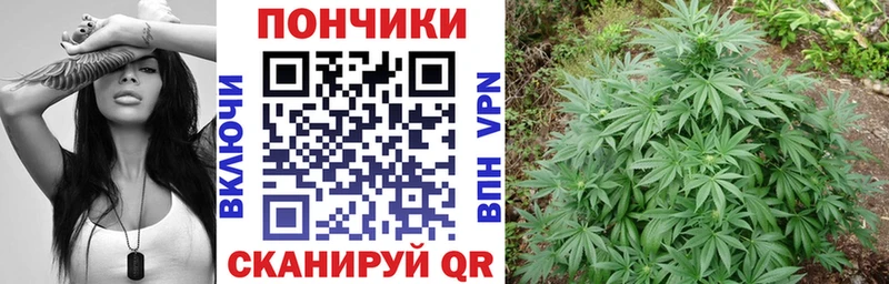 Купить  Кукмор  Марихуана SATIVA & INDICA 